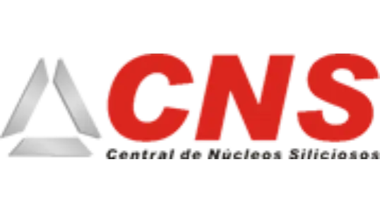 CNS